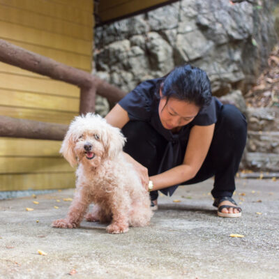 Benefits of Choosing Natural Methods for Flea and Tick Prevention