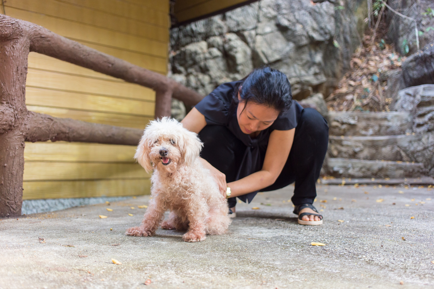 Benefits of Choosing Natural Methods for Flea and Tick Prevention