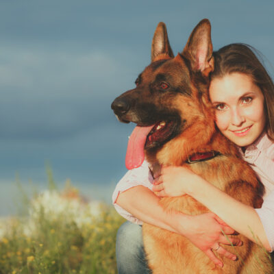 Everything to Know About Pet-Friendly Travel