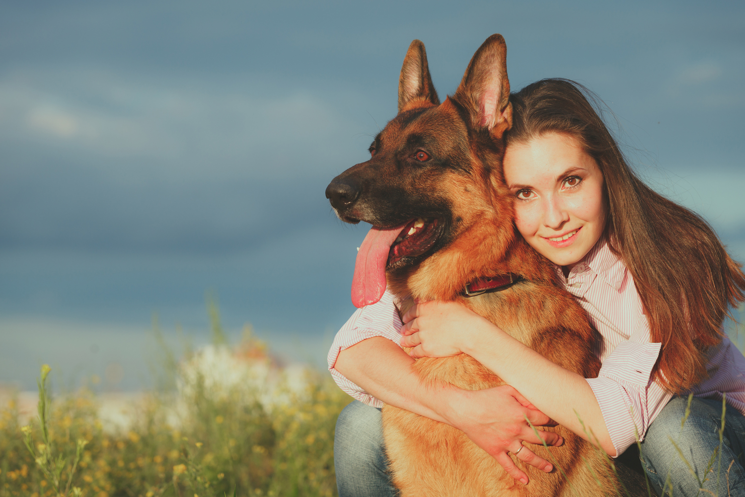 Everything to Know About Pet-Friendly Travel