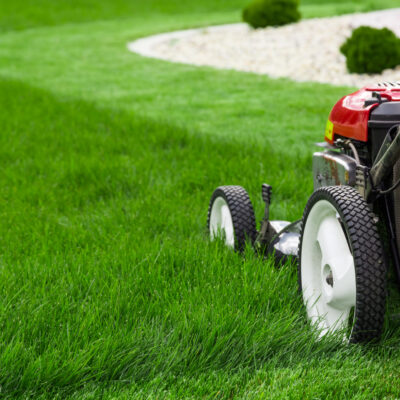 Factors That Help Keep Lawns Naturally Green