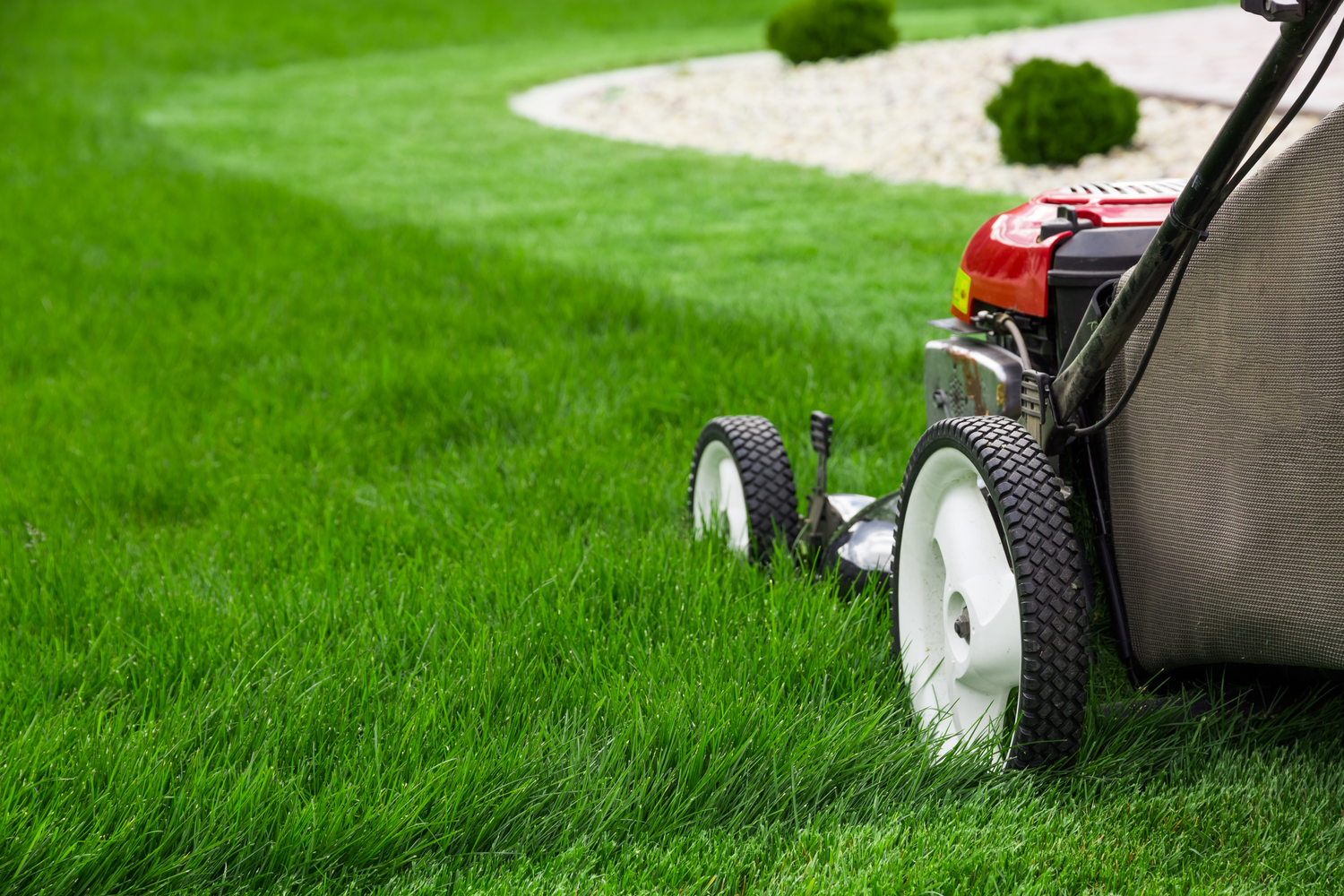 Factors That Help Keep Lawns Naturally Green
