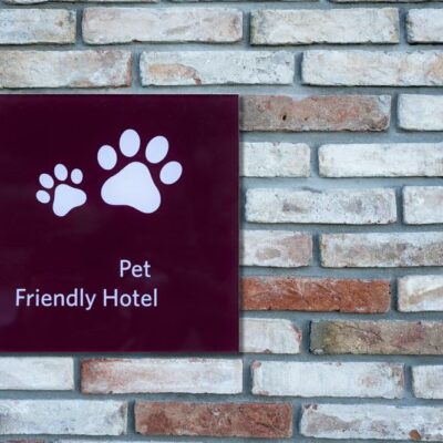 How Pet-Friendly Hotels Work