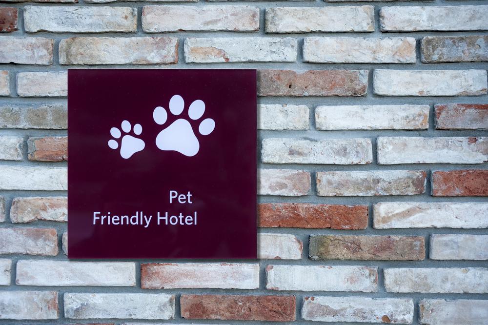 How Pet-Friendly Hotels Work