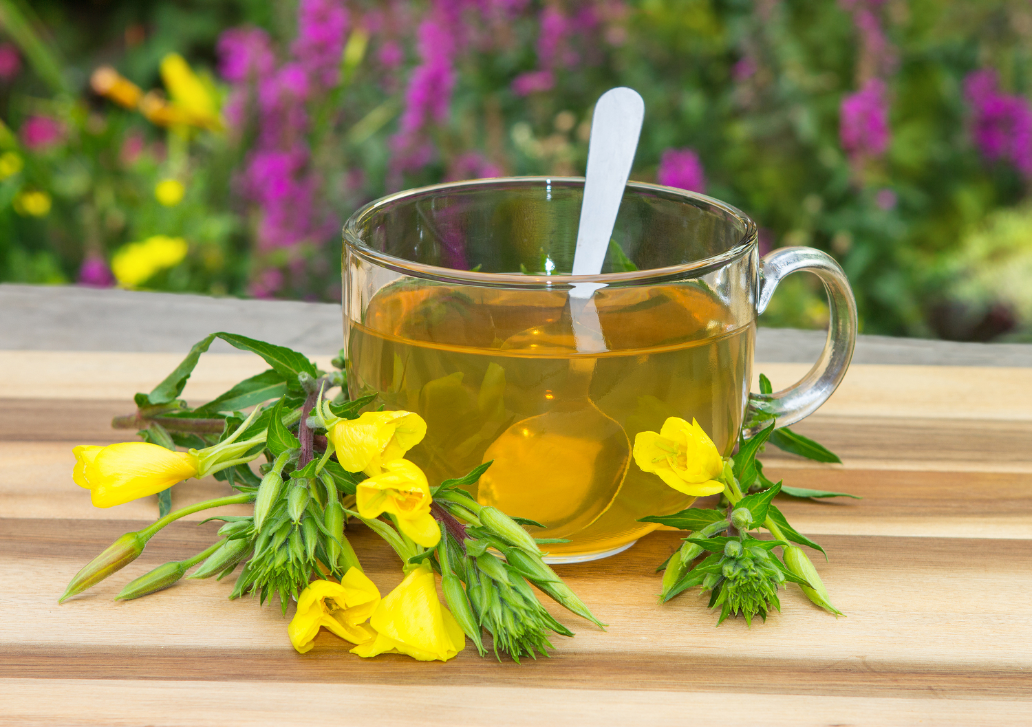 Nutrients that Help Manage Menopause