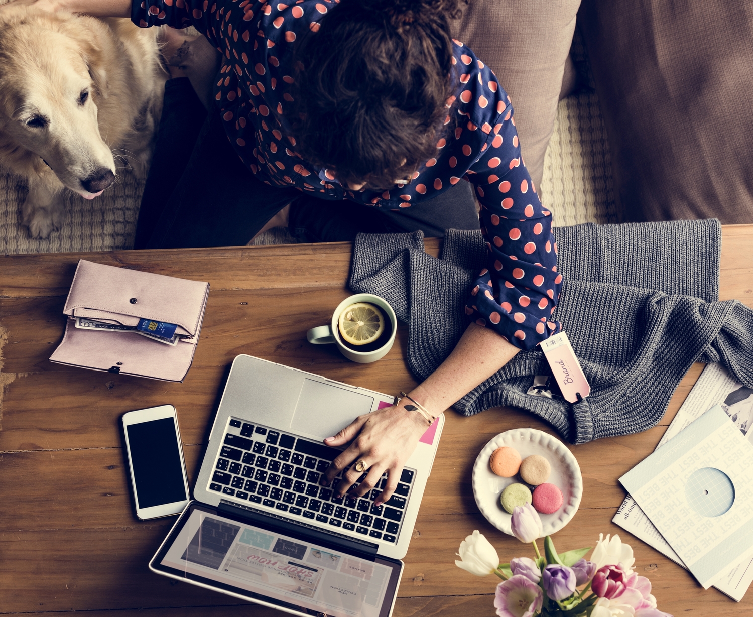 The Importance of Pet Insurance