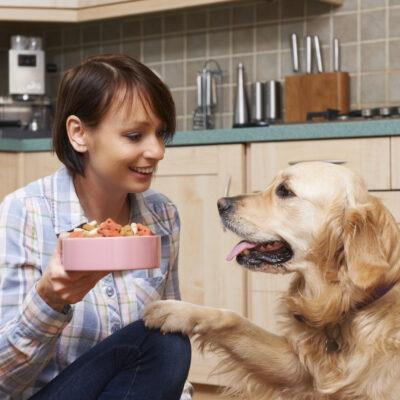 Which Foods are Healthy for Dogs?