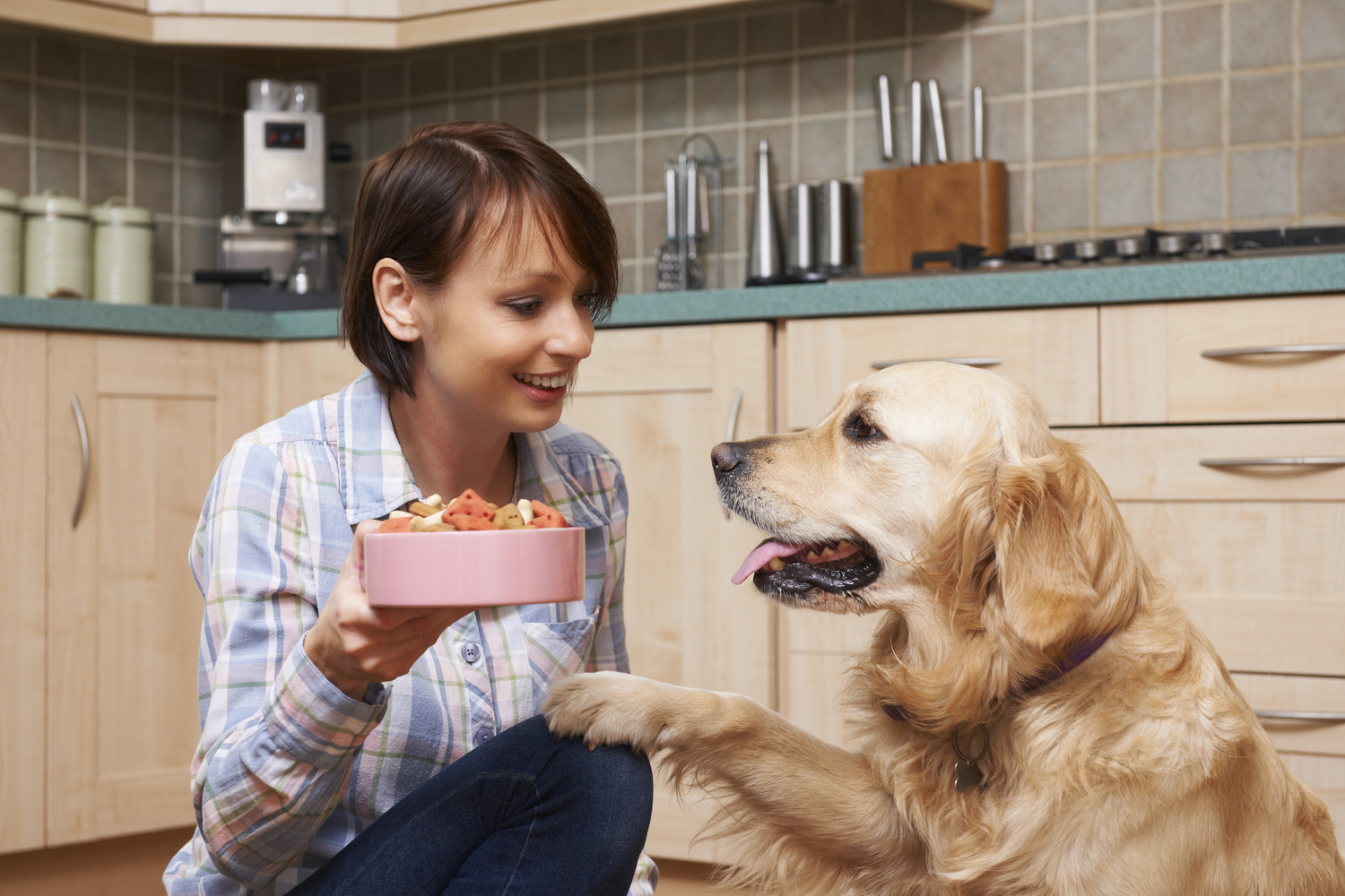 Which Foods are Healthy for Dogs?