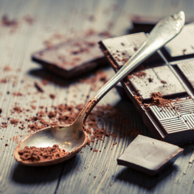 Human Foods That are Dangerous for Pets